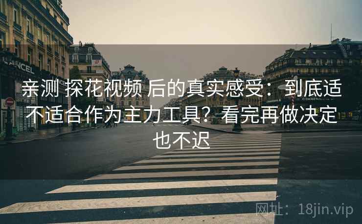 亲测 探花视频 后的真实感受：到底适不适合作为主力工具？看完再做决定也不迟