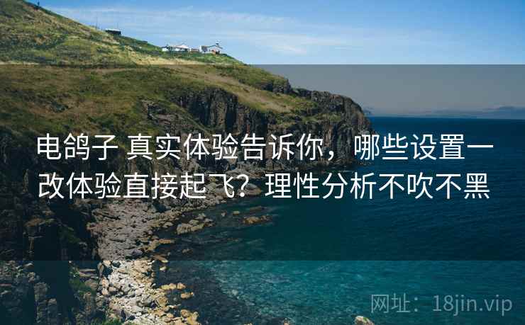 电鸽子 真实体验告诉你，哪些设置一改体验直接起飞？理性分析不吹不黑