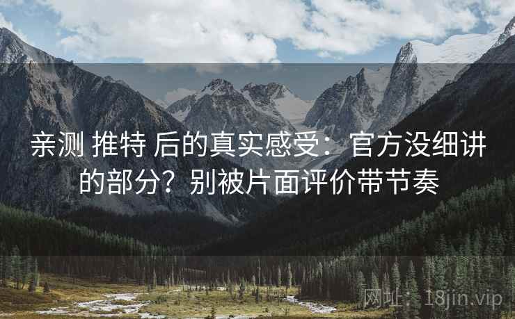 亲测 推特 后的真实感受：官方没细讲的部分？别被片面评价带节奏