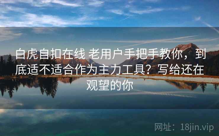 白虎自扣在线 老用户手把手教你，到底适不适合作为主力工具？写给还在观望的你