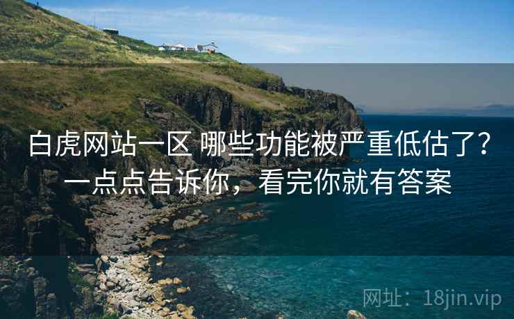 白虎网站一区 哪些功能被严重低估了？一点点告诉你，看完你就有答案