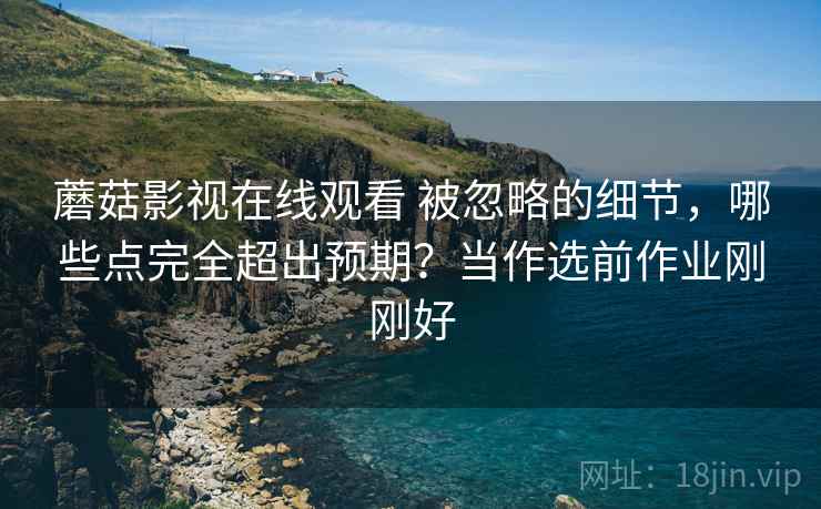 蘑菇影视在线观看 被忽略的细节，哪些点完全超出预期？当作选前作业刚刚好