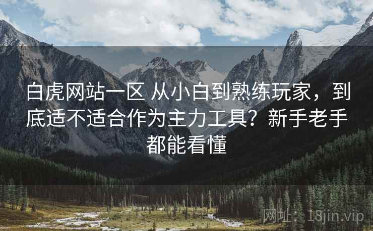白虎网站一区 从小白到熟练玩家，到底适不适合作为主力工具？新手老手都能看懂