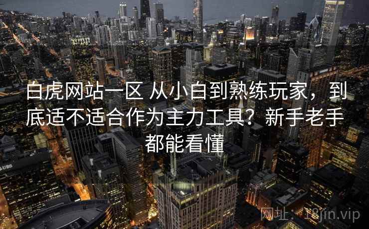 白虎网站一区 从小白到熟练玩家，到底适不适合作为主力工具？新手老手都能看懂