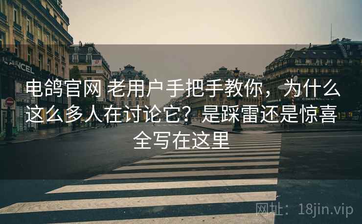 电鸽官网 老用户手把手教你，为什么这么多人在讨论它？是踩雷还是惊喜全写在这里