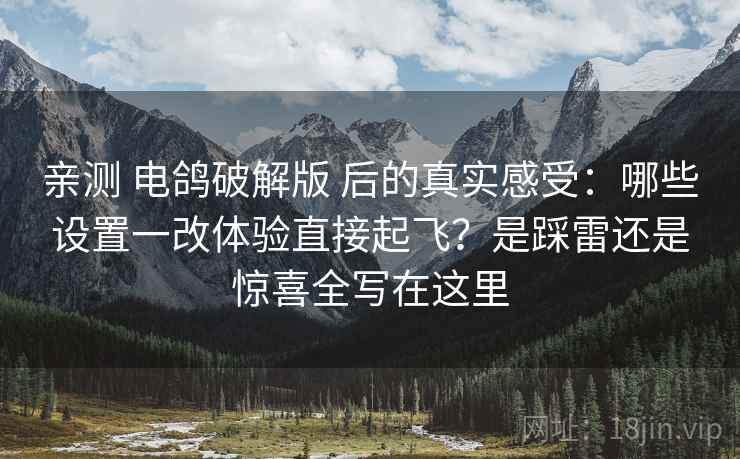 亲测 电鸽破解版 后的真实感受：哪些设置一改体验直接起飞？是踩雷还是惊喜全写在这里