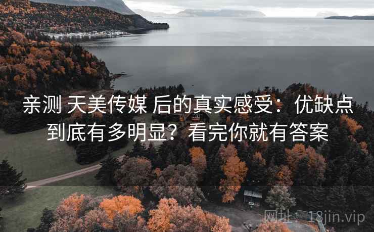 亲测 天美传媒 后的真实感受：优缺点到底有多明显？看完你就有答案