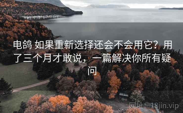 电鸽 如果重新选择还会不会用它？用了三个月才敢说，一篇解决你所有疑问