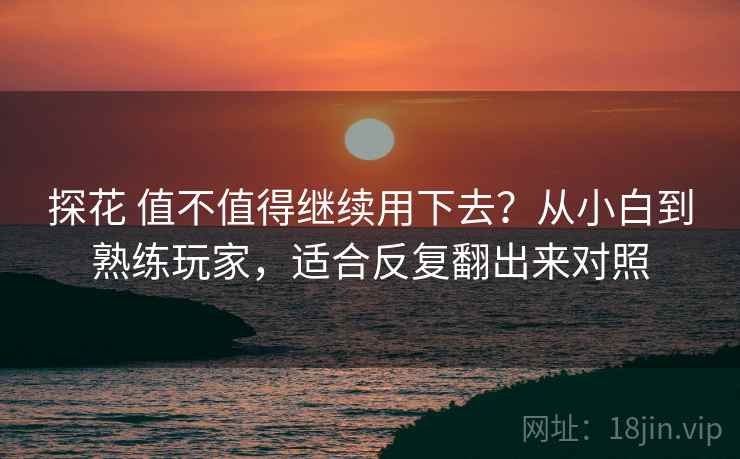 探花 值不值得继续用下去？从小白到熟练玩家，适合反复翻出来对照